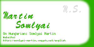 martin somlyai business card